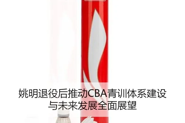 姚明退役后推动CBA青训体系建设与未来发展全面展望